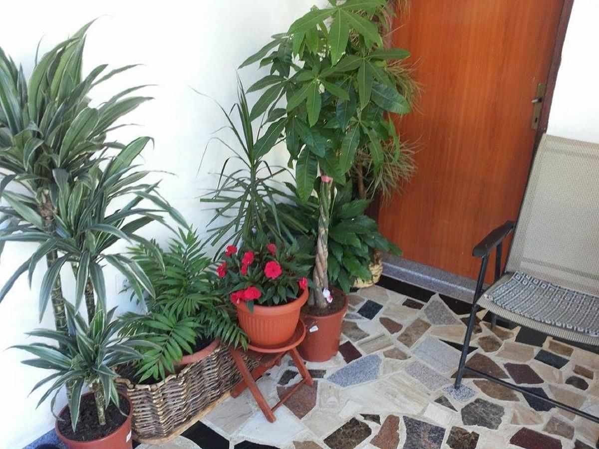 Гостевой дом Apartments Blagoj Сутоморе-18