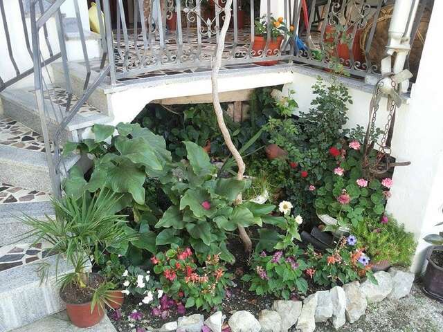Гостевой дом Apartments Blagoj Сутоморе-16