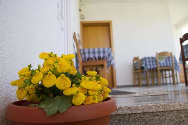 Гостевой дом Apartments Blagoj Сутоморе-35